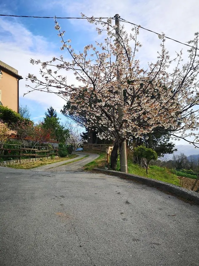 B&B Genova Country Fegino 0*,  Italy